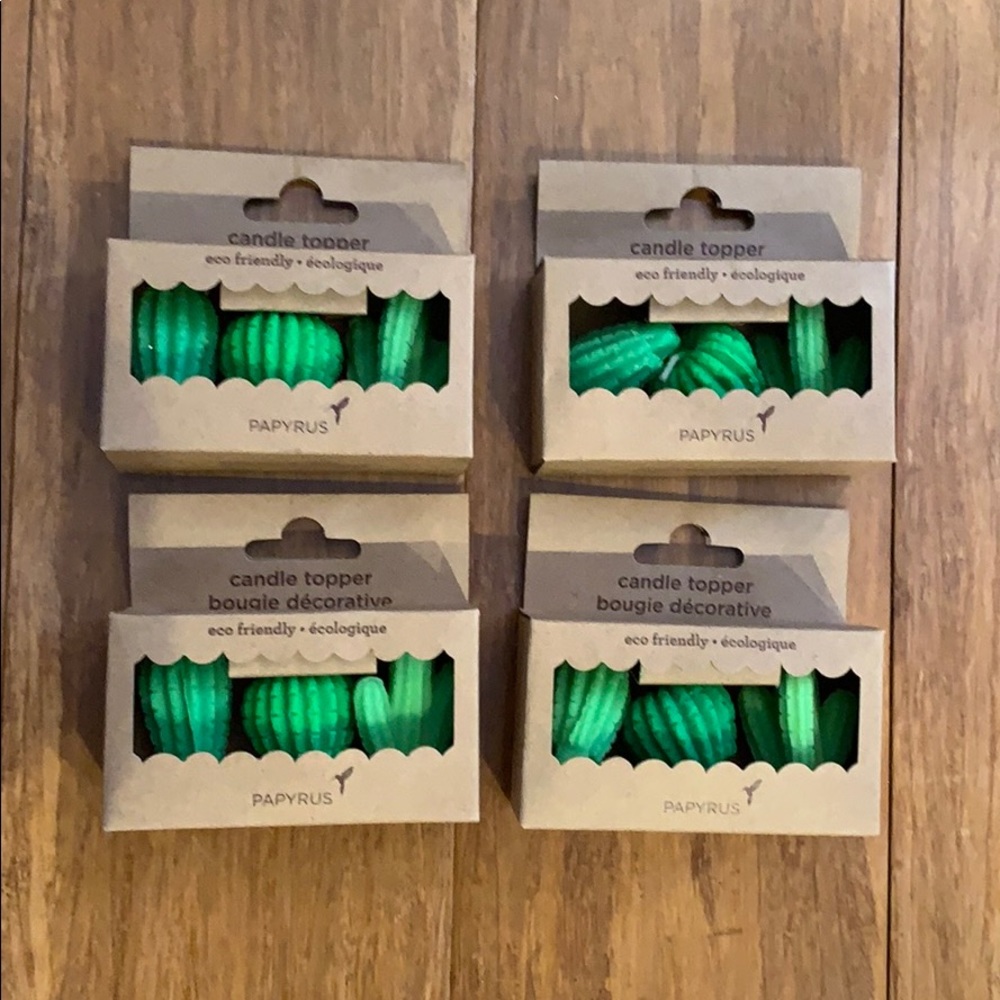 Papyrus cactus candles.